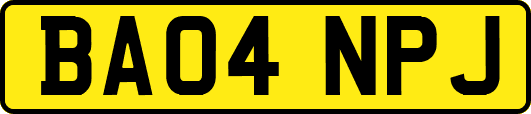 BA04NPJ