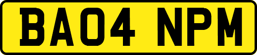 BA04NPM
