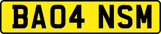 BA04NSM
