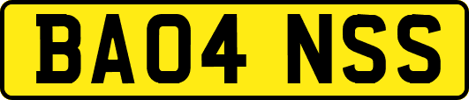 BA04NSS