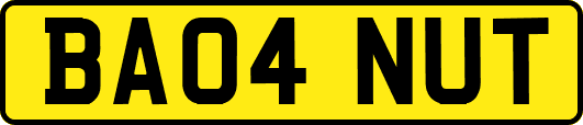 BA04NUT