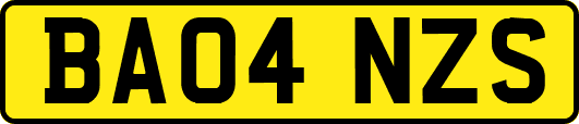 BA04NZS