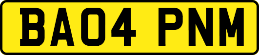 BA04PNM