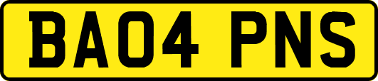 BA04PNS