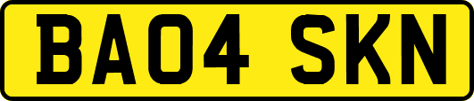 BA04SKN