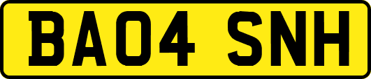 BA04SNH