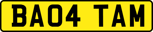 BA04TAM