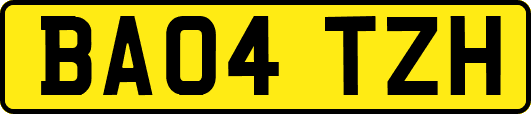 BA04TZH