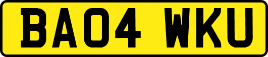 BA04WKU