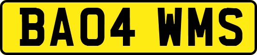 BA04WMS