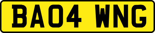 BA04WNG