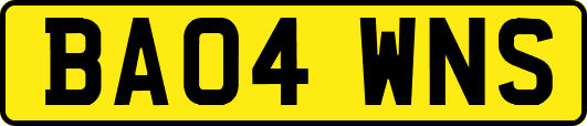 BA04WNS