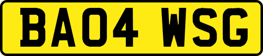 BA04WSG