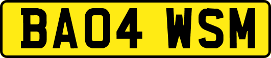BA04WSM