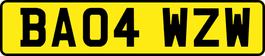 BA04WZW