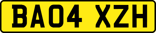 BA04XZH