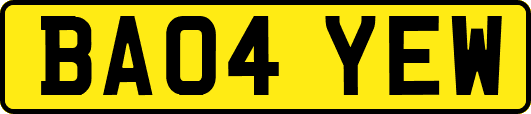 BA04YEW