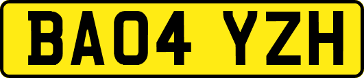 BA04YZH