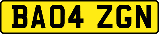 BA04ZGN