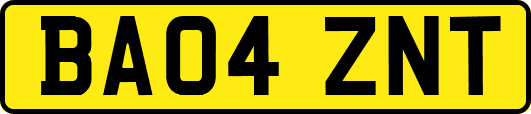 BA04ZNT