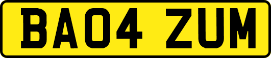 BA04ZUM
