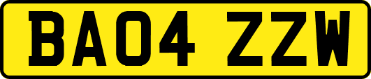BA04ZZW
