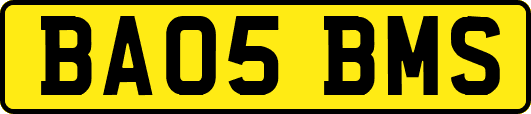 BA05BMS