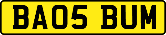 BA05BUM