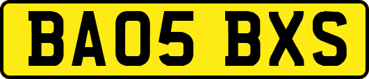BA05BXS