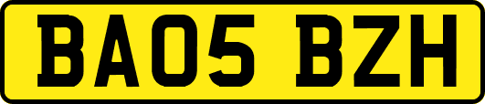 BA05BZH