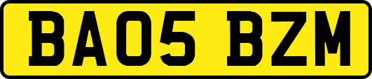 BA05BZM