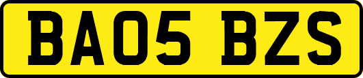 BA05BZS