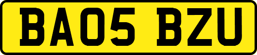 BA05BZU