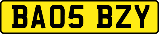 BA05BZY