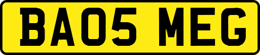 BA05MEG