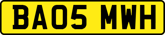 BA05MWH