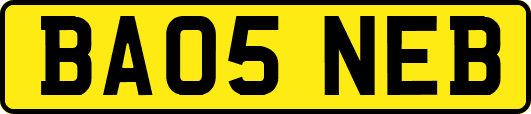 BA05NEB