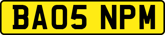 BA05NPM