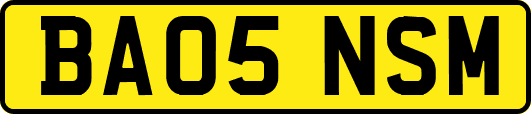 BA05NSM