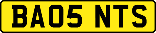 BA05NTS