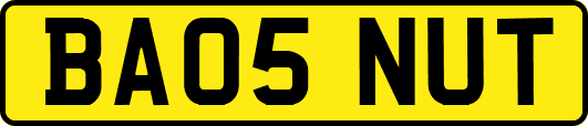 BA05NUT