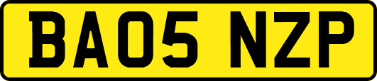 BA05NZP