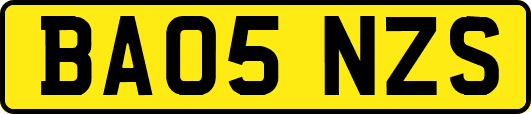 BA05NZS