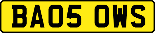 BA05OWS