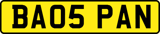 BA05PAN