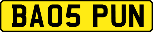 BA05PUN