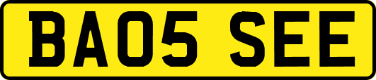 BA05SEE