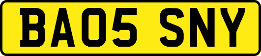 BA05SNY