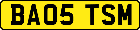 BA05TSM