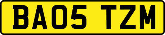 BA05TZM